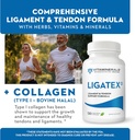 vitaminerals-18-ligatex-plus-ligament-te-5.jpg
