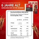 6-years-red-ginseng-365-stick-6.jpg