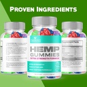 5-pack-vigorvita-gummies---official-form-3.jpg
