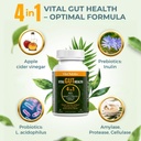vital-gut-health-4in1-formula-with-apple-2.jpg