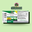 natures-answer-alcohol-free-gymnema-leaf-2.jpg
