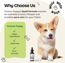 forever-puppy-detox-drops-for-dogs---dan-6.jpg