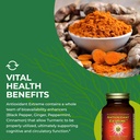 healthforce-superfoods-antioxidant-extre-6.jpg