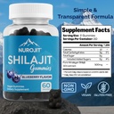 shilajit-gummies-blueberry-flavor-himala-2.jpg