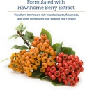 rx-vitamins-formula-cv---hawthorn-berry--5.jpg