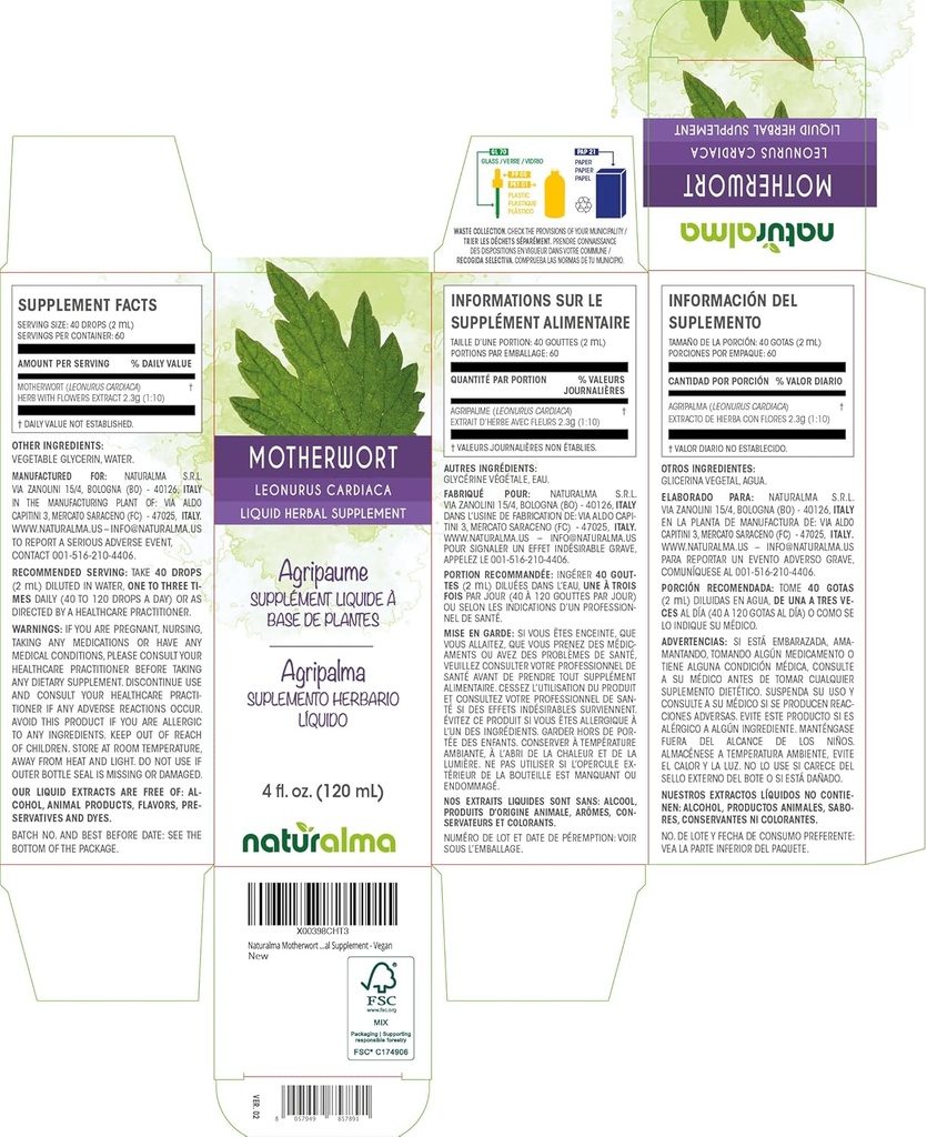 naturalma-motherwort-leonurus-cardiaca-h-2.jpg