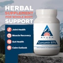 ayush-herbs-curcumin-97---curcumin-suppl-2.jpg