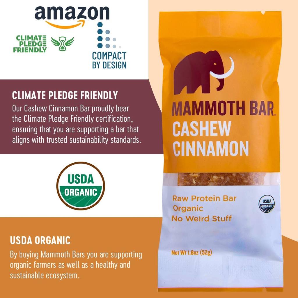 cashew-cinnamon-bar--organic-paleo-glute-6.jpg