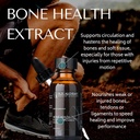 rd-alchemy---100-natural-organic-bone-he-2.jpg
