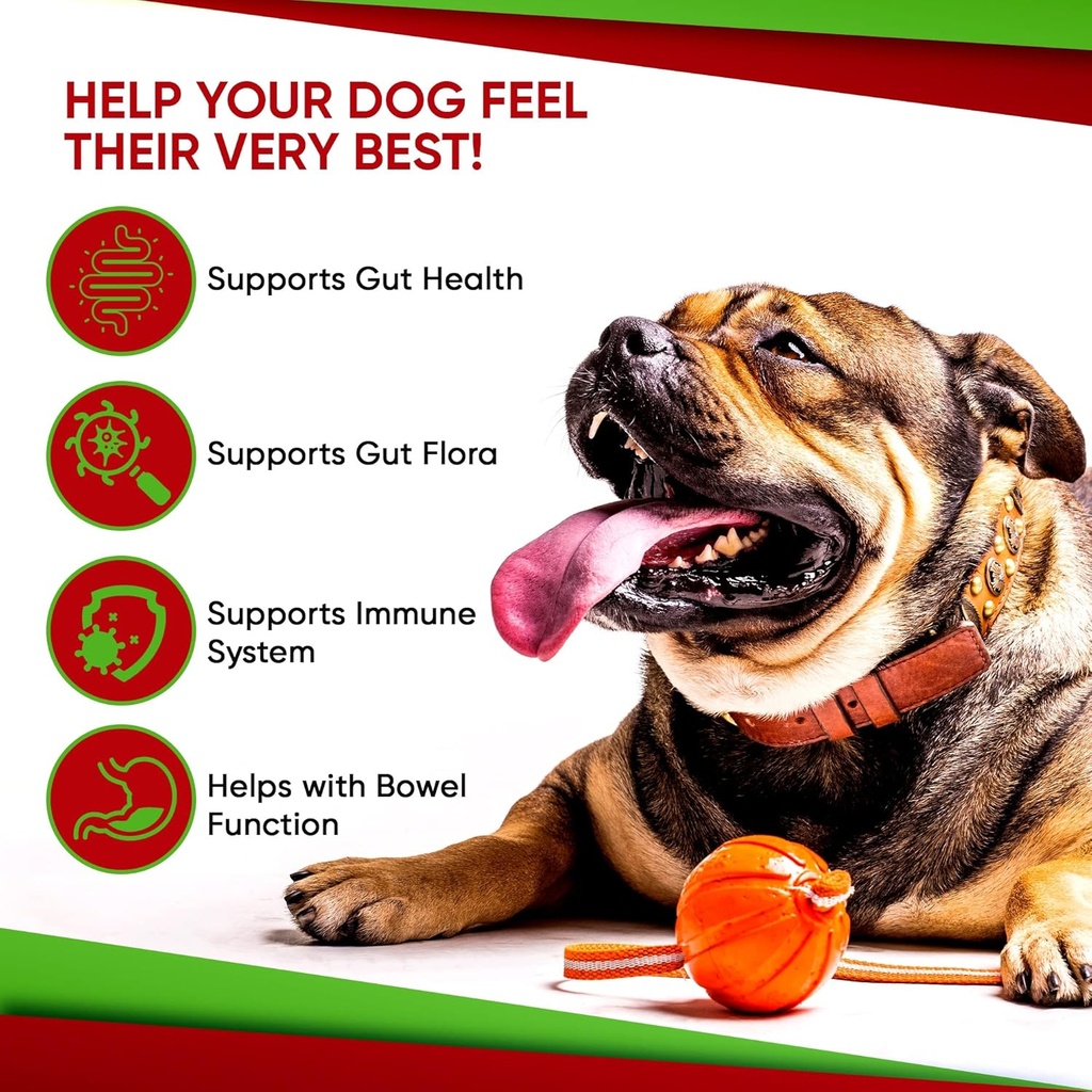 probiotics-for-dogs-and-cats---advanced--5.jpg