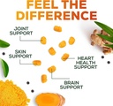 turmeric-curcumin-supplement-gummies---9-6.jpg