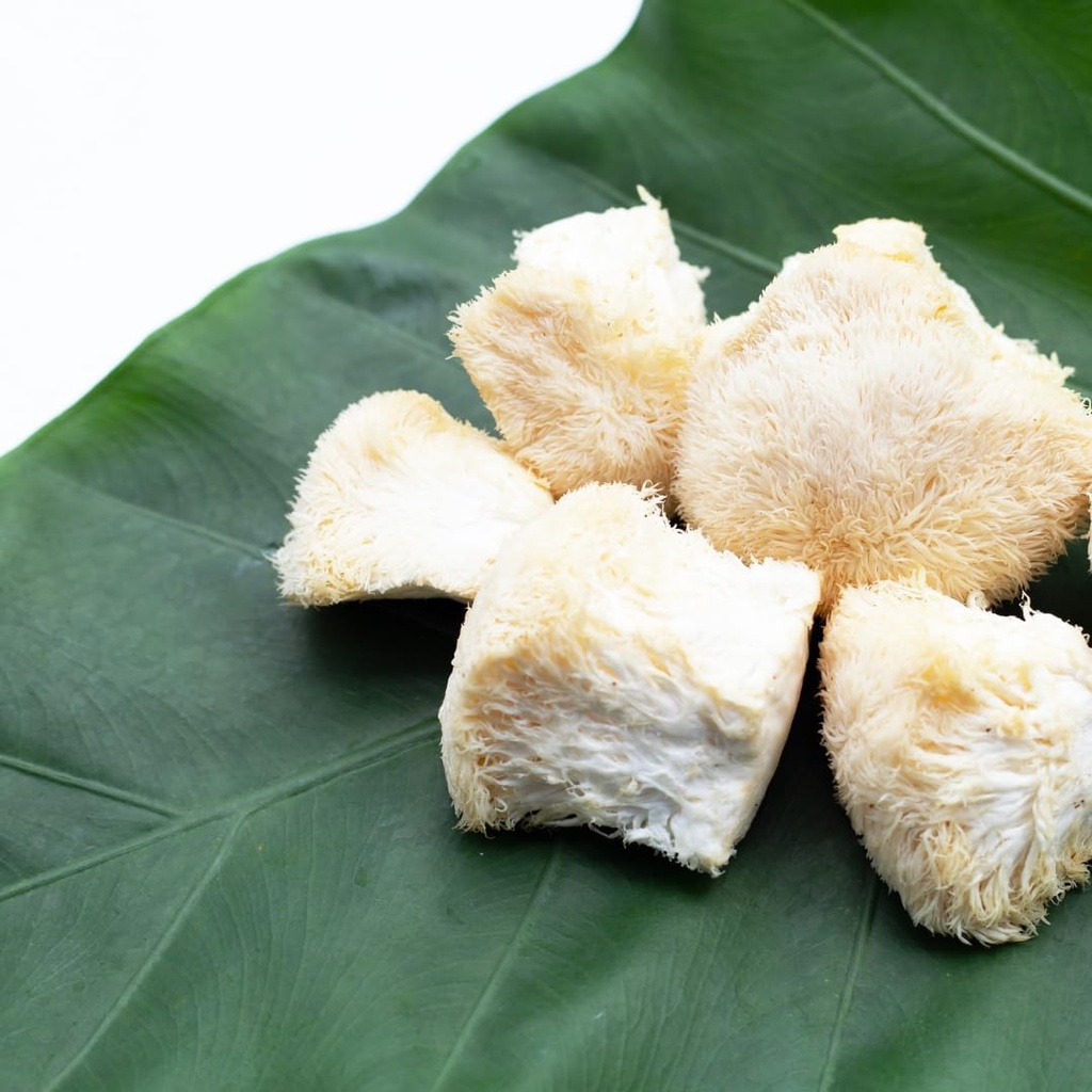 lions-mane-mushroom-extract-1-lb-hericiu-4.jpg
