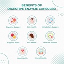 foods-for-gut-digestive-enzyme-makzyme-p-5.jpg
