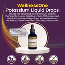 wellnessone-ionic-potassium-supplement---4.jpg