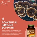 healthforce-superfoods-turkey-tail---cap-4.jpg