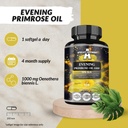 apollos-hegemony-evening-primrose-oil-10-4.jpg