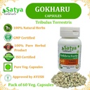 gokhru-forte-capsules-500-mg-60-veg-caps-5.jpg