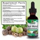 natures-answer-black-walnut-and-wormwood-3.jpg