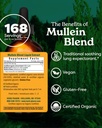 herb-pharm-certified-organic-mullein-ble-2.jpg