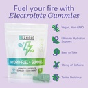 zhou-nutrition-hydro-fuel-gummies---elec-3.jpg