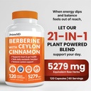 21-in-1-berberine-supplement-with-ceylon-2.jpg