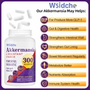 300-billion-afu-akkermansia-probiotic-gl-2.jpg