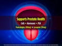 biotest-p-well---upstream-to-prostate-pr-3.jpg