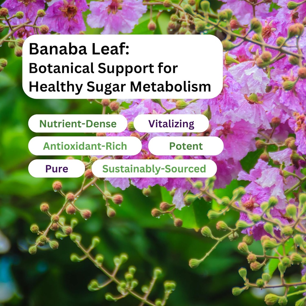 paradise-herbs-banaba-leaf-121-concentra-5.jpg