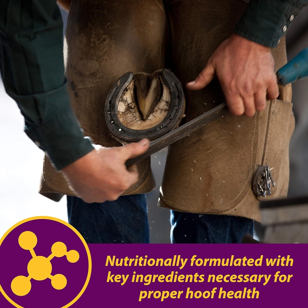 horse-health-shur-hoof-hoof-supplement-f-4.jpg