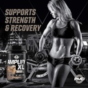 pmd-sports-amplify-xl-premium-whey-prote-4.jpg