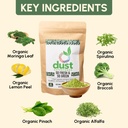 so-fresh-so-green-organic-greens-powder--4.jpg
