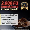 nattokinase-2000-fu---nattokinase-supple-5.jpg