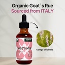 goats-rue-liquid-extract-2-fl-oz---lacta-3.jpg
