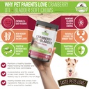 cranberry-bladder-uti-chews-for-dogs-d-m-2.jpg
