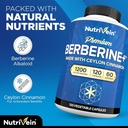 nutrivein-premium-berberine-hcl-1200-mg--4.jpg