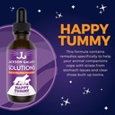 jackson-galaxy-happy-tummy-2-oz---pet-so-2.jpg