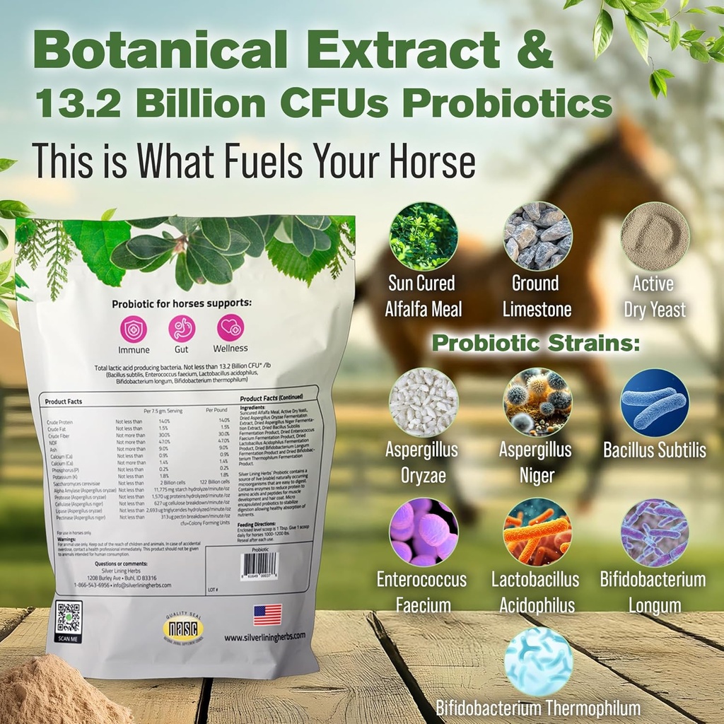 silver-lining-herbs-horse-probiotics-dig-4.jpg