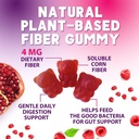 prebiotic-fiber-gummies-4g---sugar-free--3.jpg