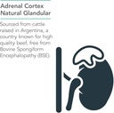 nutricology-adrenal-support-supplement-f-4.jpg