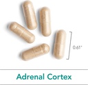 nutricology-adrenal-support-supplement-f-5.jpg
