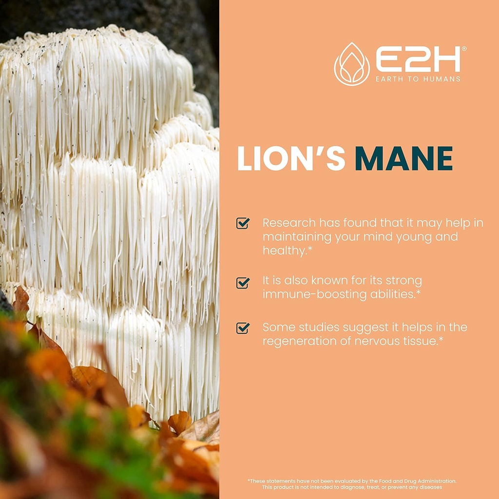 e2h-reishi-2-pack-lions-mane-extracts----2.jpg