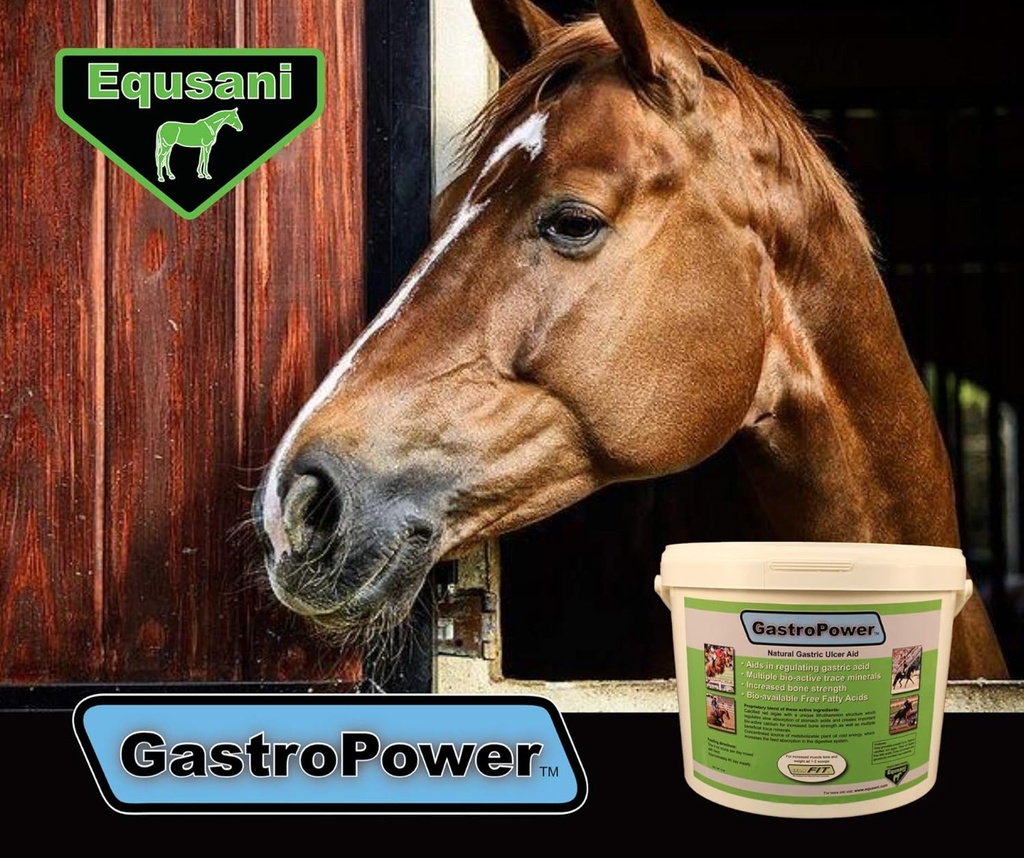 equsani-gastropower-digestible-free-fatt-6.jpg