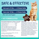 under-the-weather-pet-probiotic-chews-fo-6.jpg