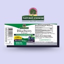 natures-answers-alcohol-free-blueberry-f-2.jpg