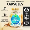 maju-superfoods-4-in-1-sea-moss-capsules-4.jpg
