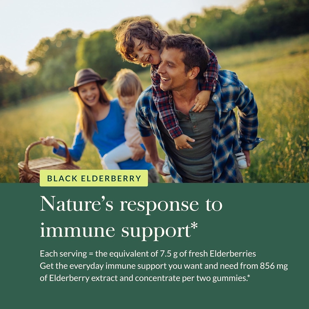 gaia-herbs-black-elderberry-adult-daily--5.jpg