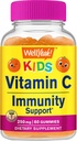 wellyeah-vitamin-c-kids-probiotics-10b-k-2.jpg