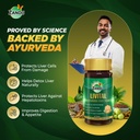 zandu-livital-tablets-100-ayurvedic-ingr-4.jpg