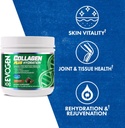 evogen-collagen-plus-hydration---grass-f-5.jpg