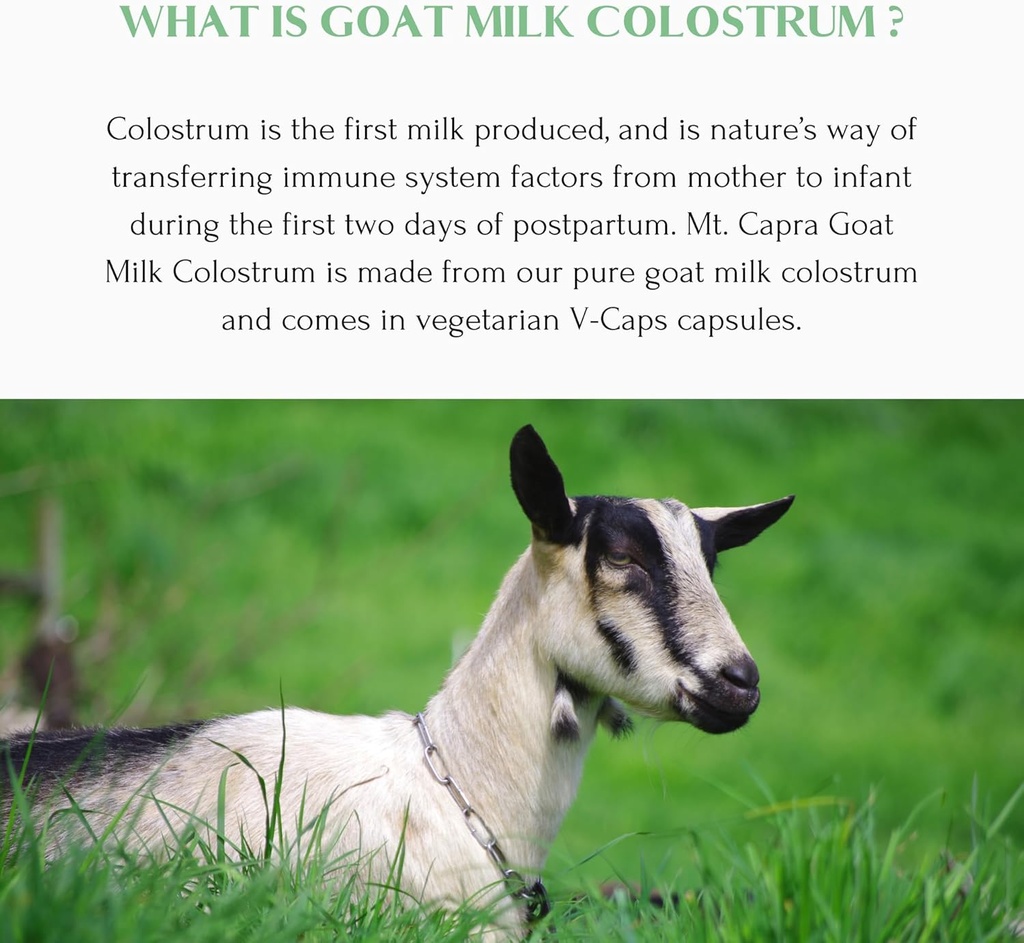 mt-capra-goat-milk-colostrum-for-healthy-4.jpg